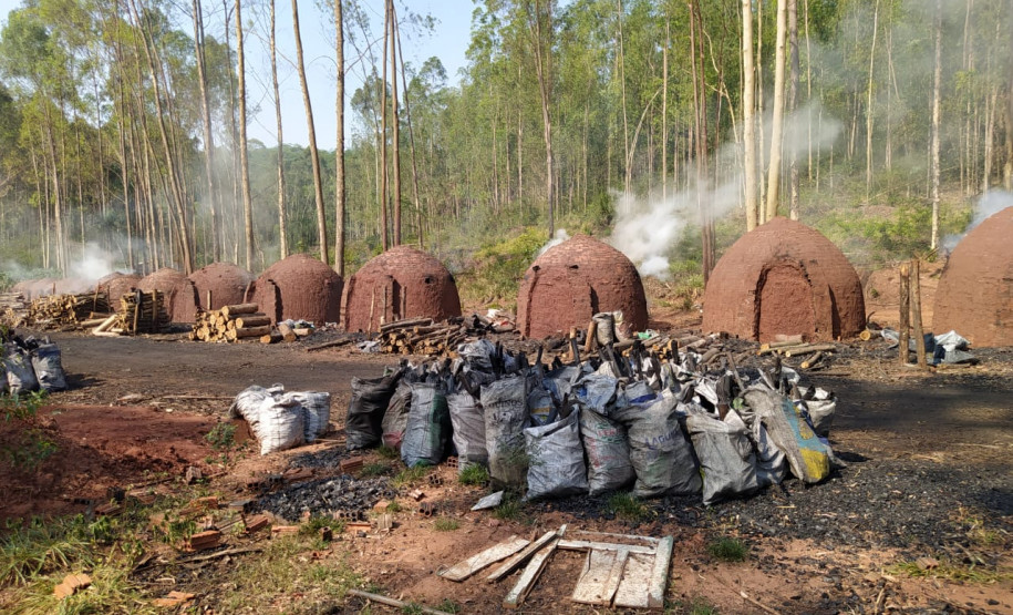 OPERAÇÃO HÓRUS - PCPR e PMPR apreendem cerca de 20 toneladas de carvão vegetal em Querência do Norte  