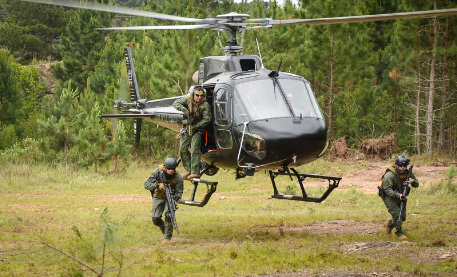 Treinamento do grupo Tigre