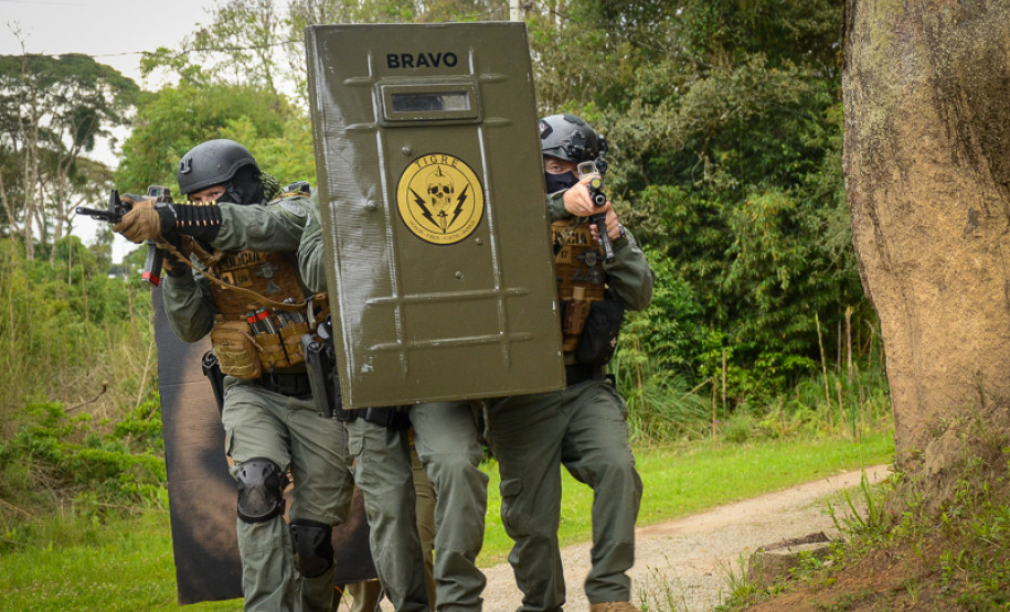 Treinamento do grupo Tigre