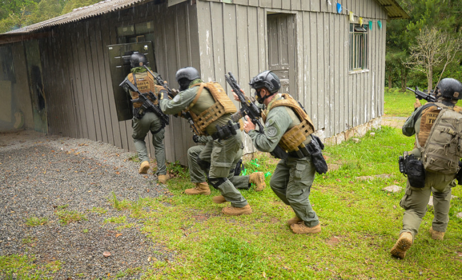 Treinamento do grupo Tigre