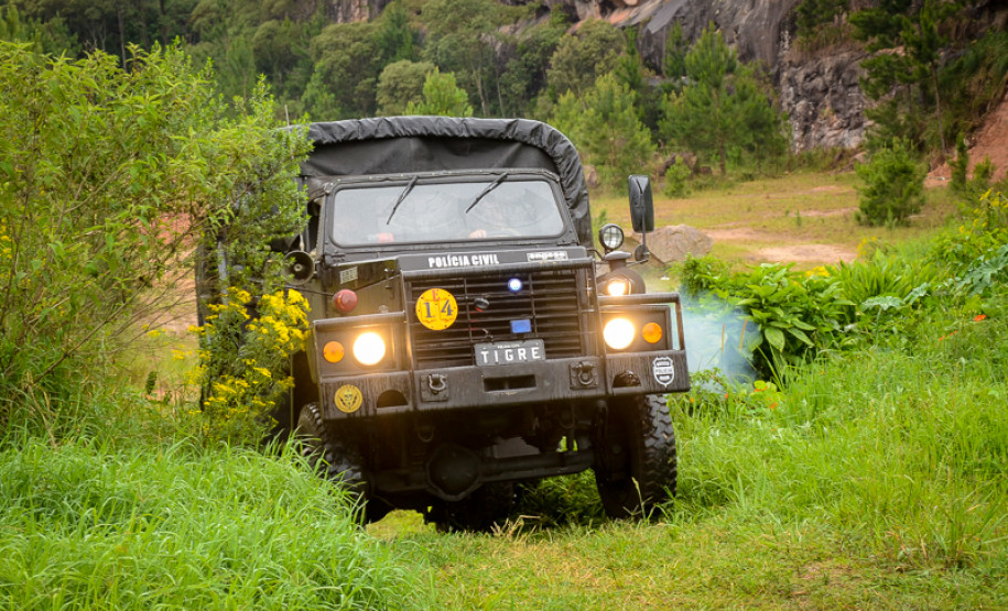 Treinamento do grupo Tigre