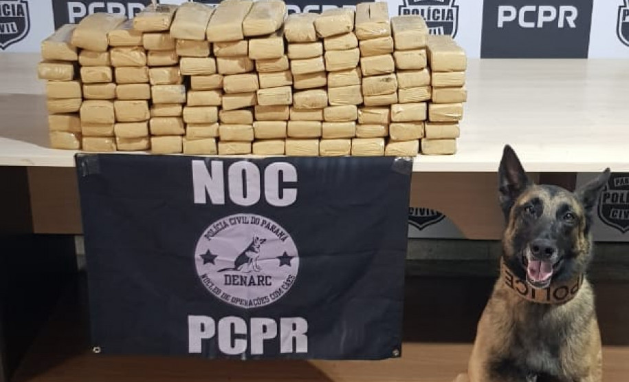 Cão policial posa para foto ao lado de tabletes de droga apreendida