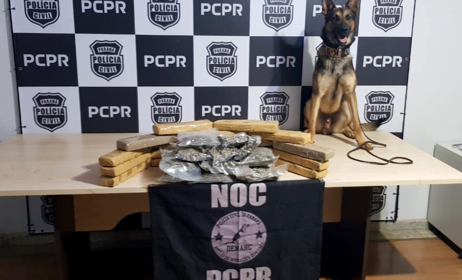Cão policial posa para foto ao lado de tabletes de droga apreendida