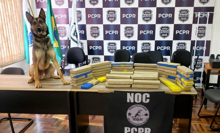 Cão policial sobre uma mesa, ao lado de droga apreendida