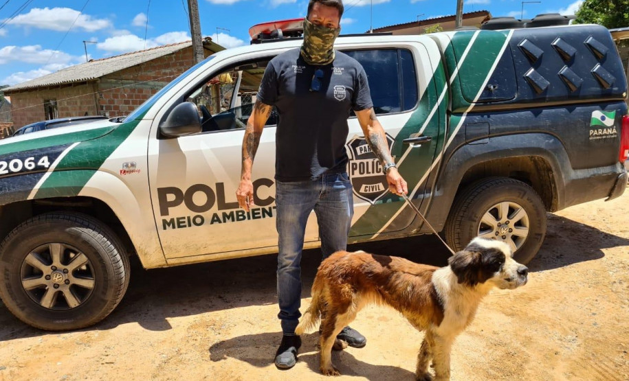 Policial civil com cachorro resgatado, ao lado de viatura