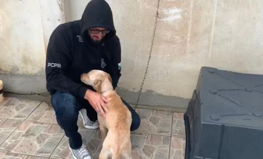 PCPR prende homem por maus-tratos e resgata três animais em Curitiba