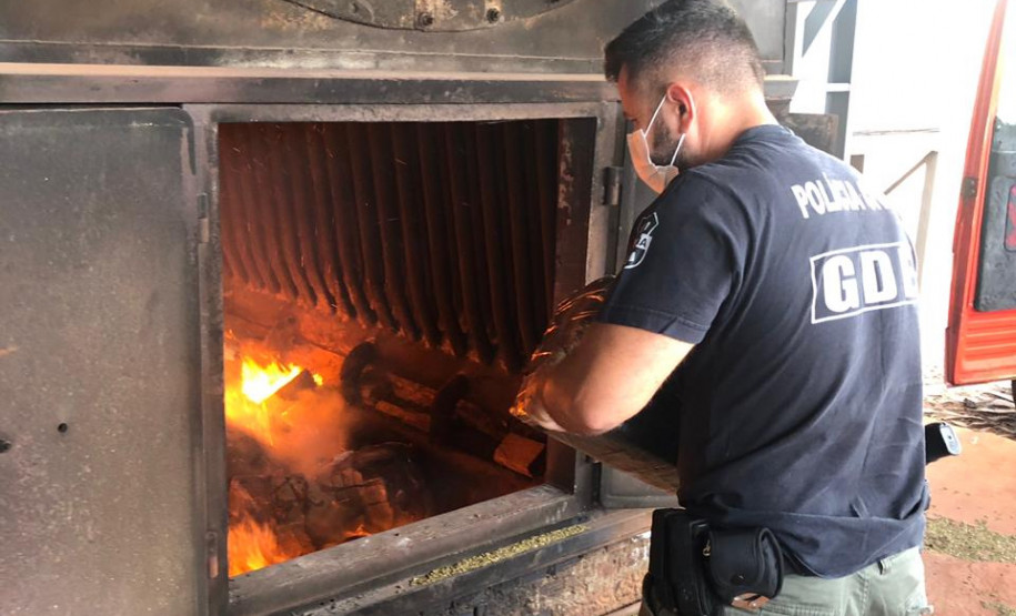 Policial civil jogando as drogas no incinerador