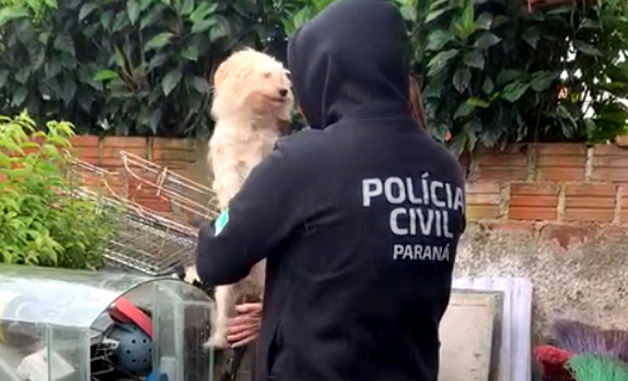 Policial civil com cão resgatado, no colo