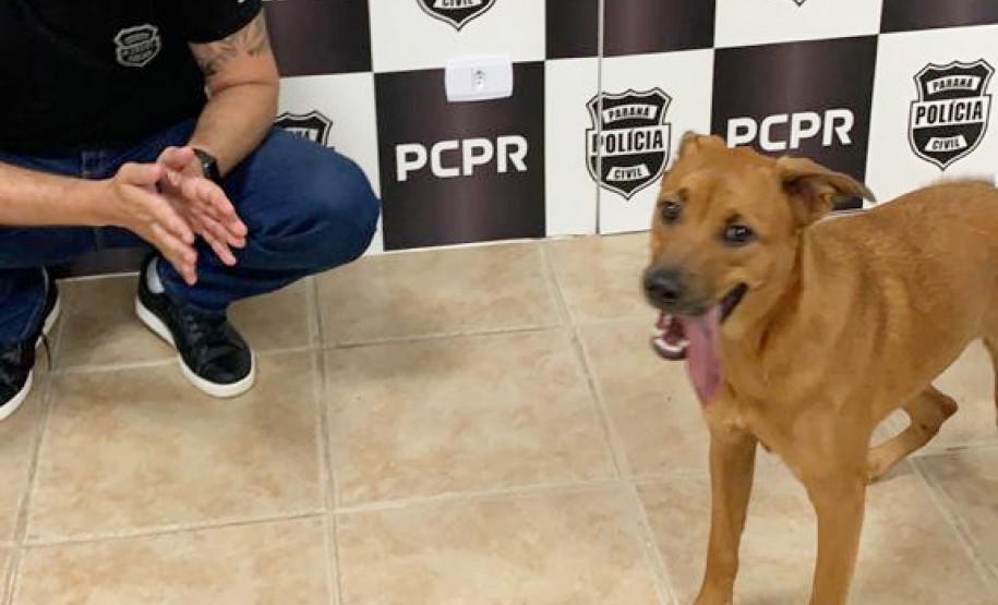 Delegado junto a cachorro em situação de maus-tratos, na delegacia