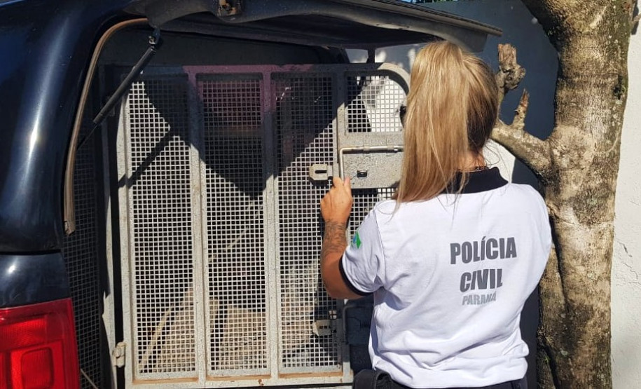 policial civil e viatura