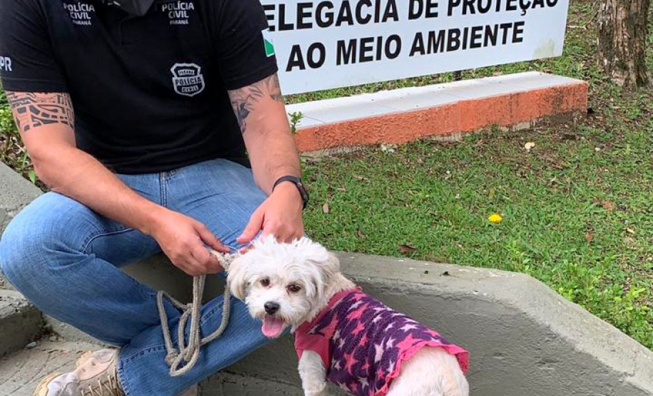 Policial civil sentado, segurando guia de cachorro resgatado. Ao fundo, placa da delegacia de proteção ao meio ambiente