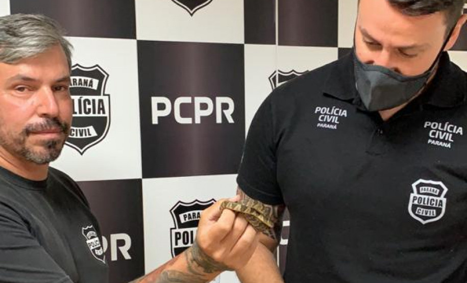 Policial civil segurando cobra resgatada