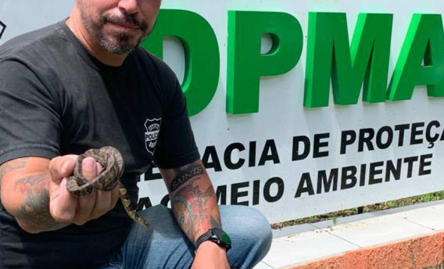 Policial civil segurando cobra resgatada