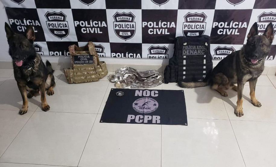 Cães policiais ao lado de droga apreendida. Ao fundo, banner com brasão da polícia civil