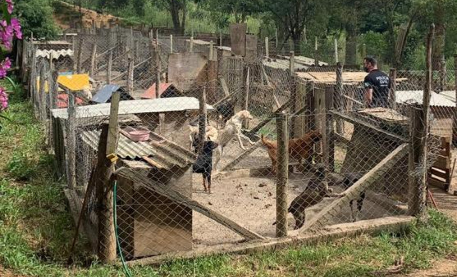 Policial civil observa local onde animais sofrem maus-tratos