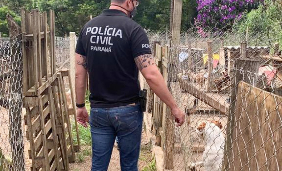 Policial civil observa local onde animais sofrem maus-tratos