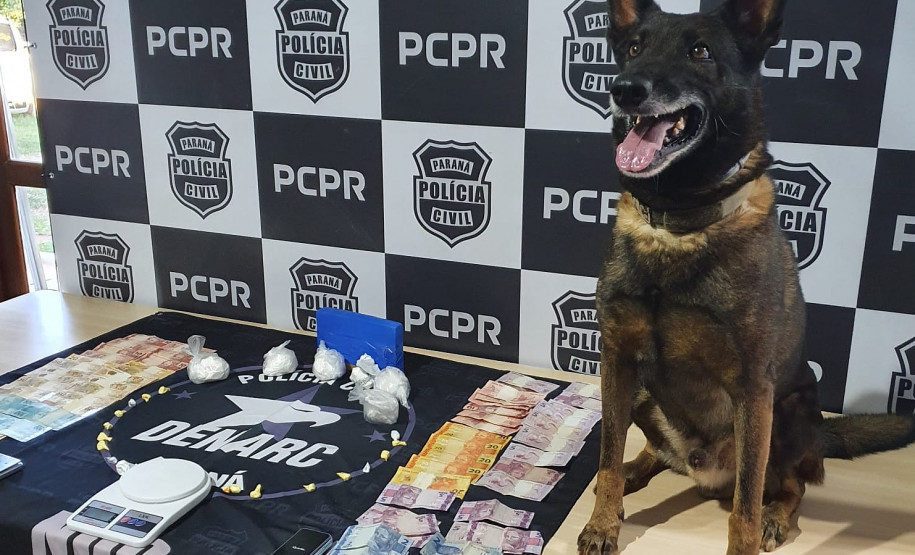 Cão policial sobre uma mesa ao lado de material apreendido