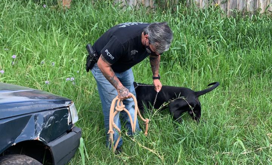 Policial civil resgata cão em situação de maus-tratos