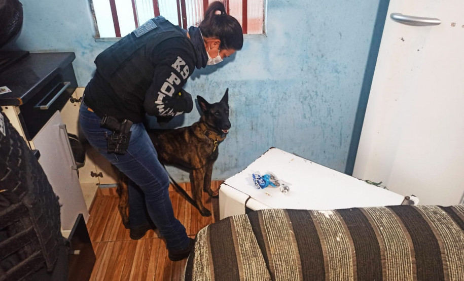 PCPR prende dois indivíduos em operação contra homicídio ocorrido no Tatuquara