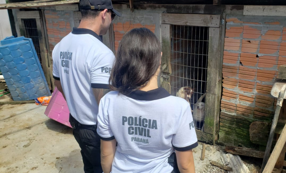 Dois policiais civis observam cães em situação de maus-tratos