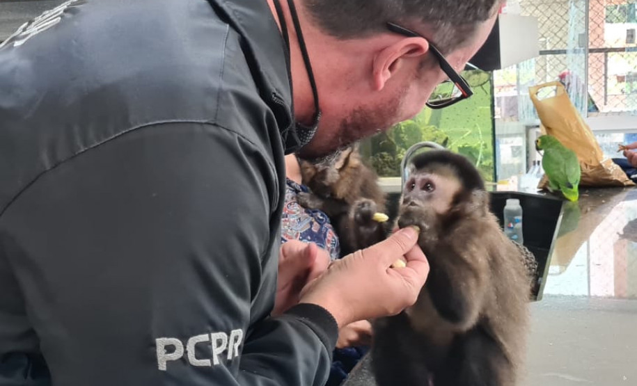 Policial civil interagindo com um macaco