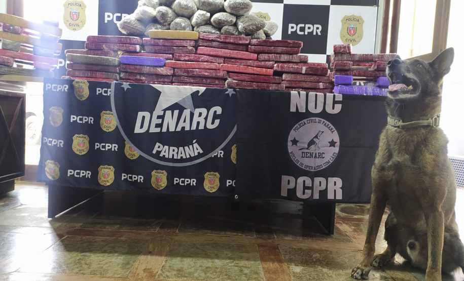 PCPR apreende 72 quilos de droga em ônibus de viagem em Cascavel