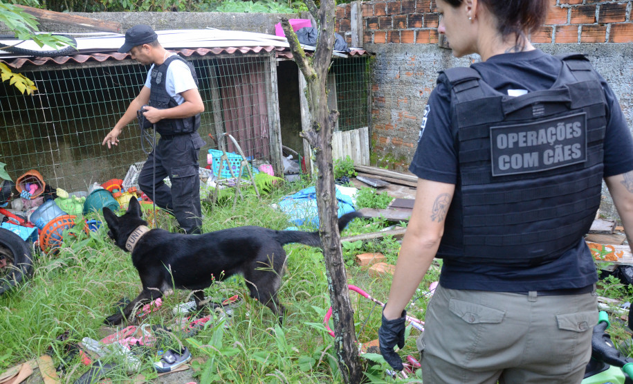 Equipe acompanha de cão da PCPR faz busca em endereço suspeito