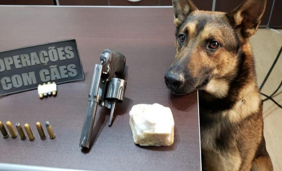 Cão da PCPR apreende arma e munições