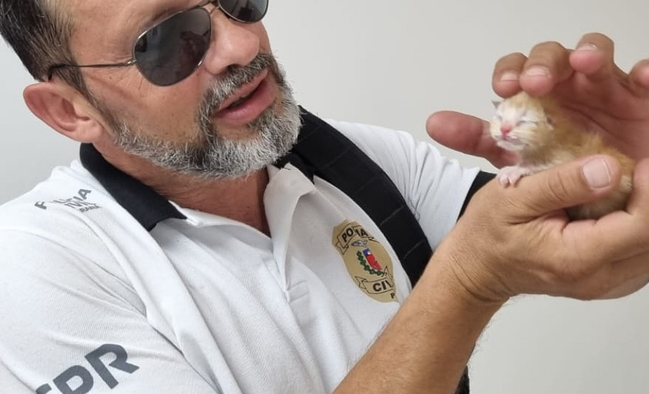 Policial civil acaricia gato resgatado