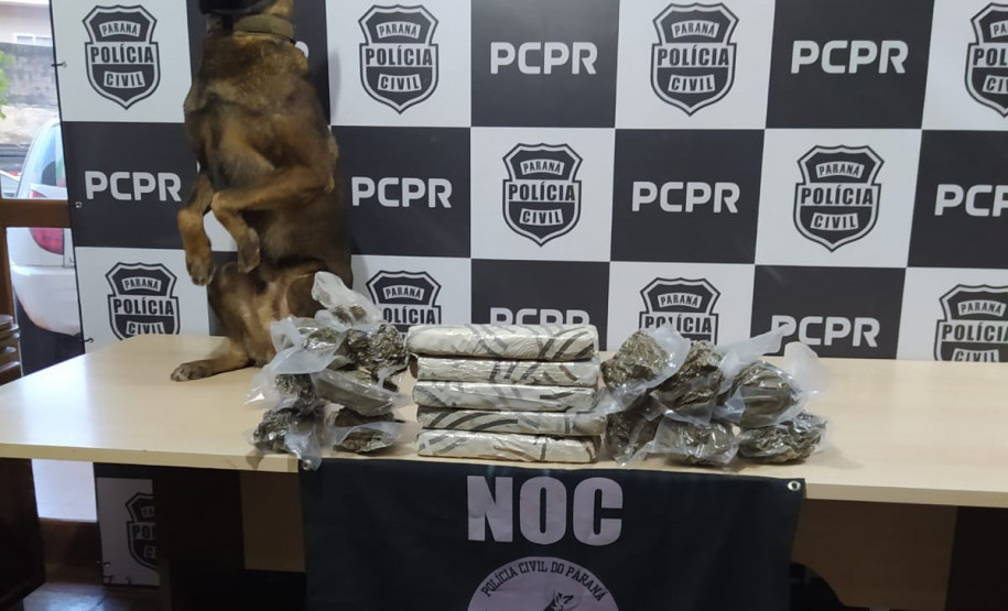 Cão policial da PCPR colabora em apreensão de droga