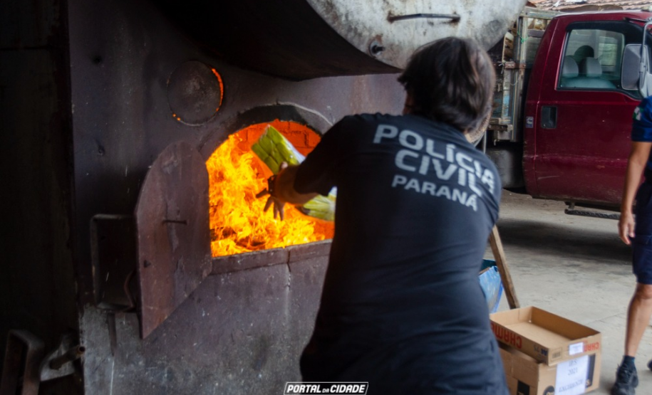 PCPR incinera 150 quilos de drogas em Guaratuba