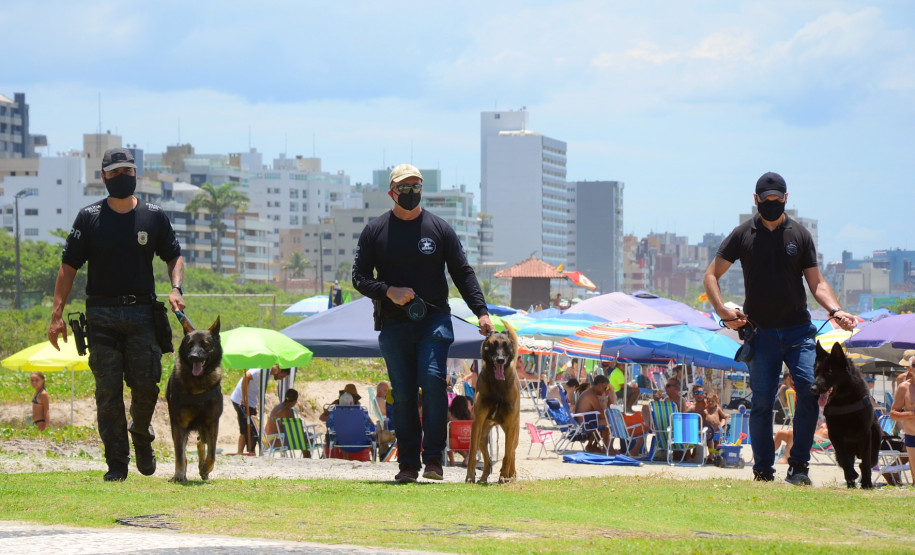 Caes policiais da PCPR no litoral