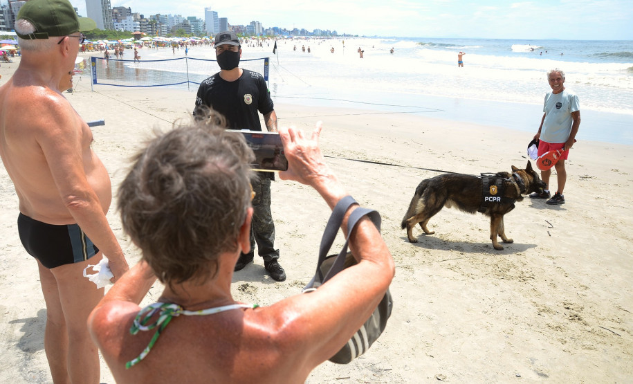 Caes policiais da PCPR no litoral