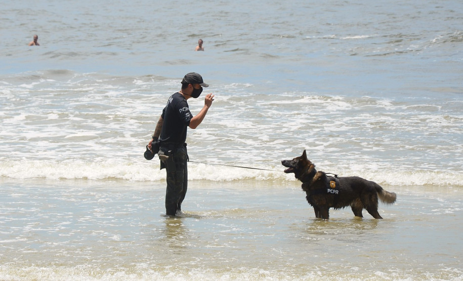 Caes policiais da PCPR no litoral