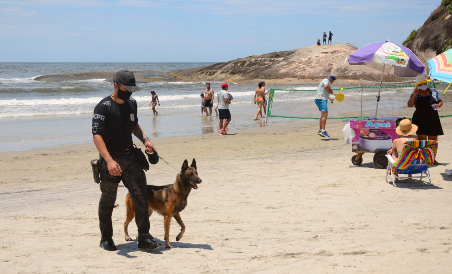 Caes policiais da PCPR no litoral