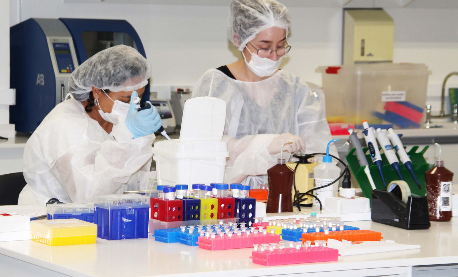 Investigações a partir do banco de perfis genéticos do Paraná têm crescimento de quase 100% no ano