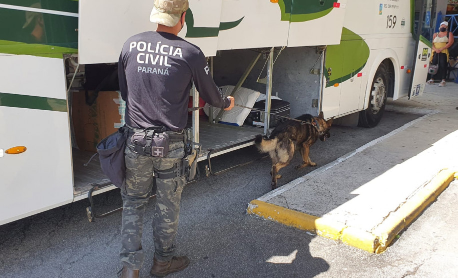 PCPR realiza fiscalização com auxílio de cães policiais na rodoviária de Matinhos