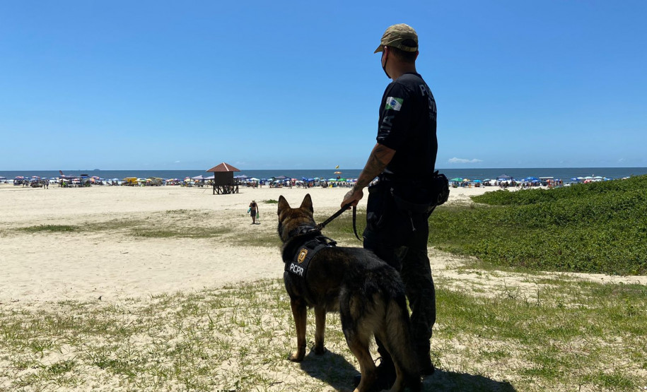 PCPR realiza fiscalização com auxílio de cães policiais na rodoviária de Matinhos