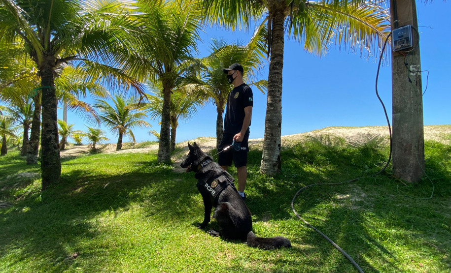PCPR realiza fiscalização com auxílio de cães policiais na rodoviária de Matinhos