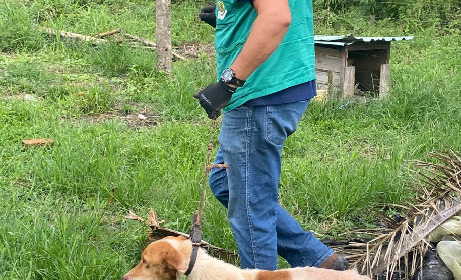 PCPR prende em flagrante homem por maus tratos a oito animais em Guaratuba