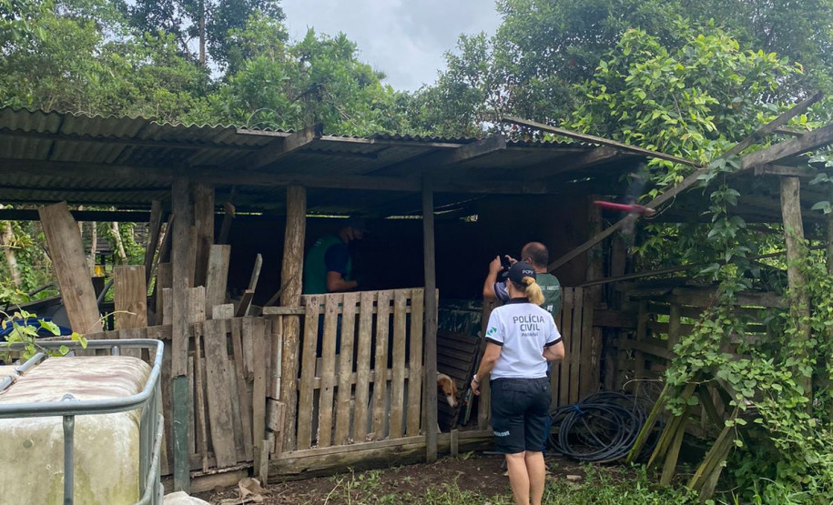 PCPR prende em flagrante homem por maus tratos a oito animais em Guaratuba