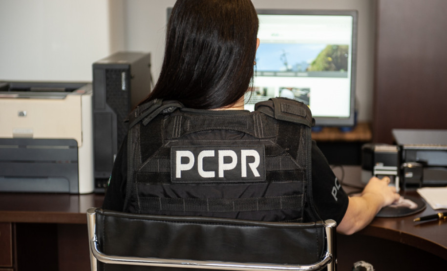 Policial civil de costas, ao computador