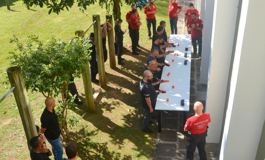 Entrega armas de choque