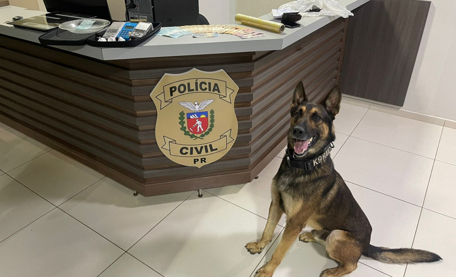 Cão policial posando ao lado da droga apreendida