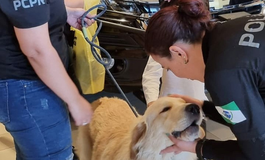 Ação educativa para o trânsito