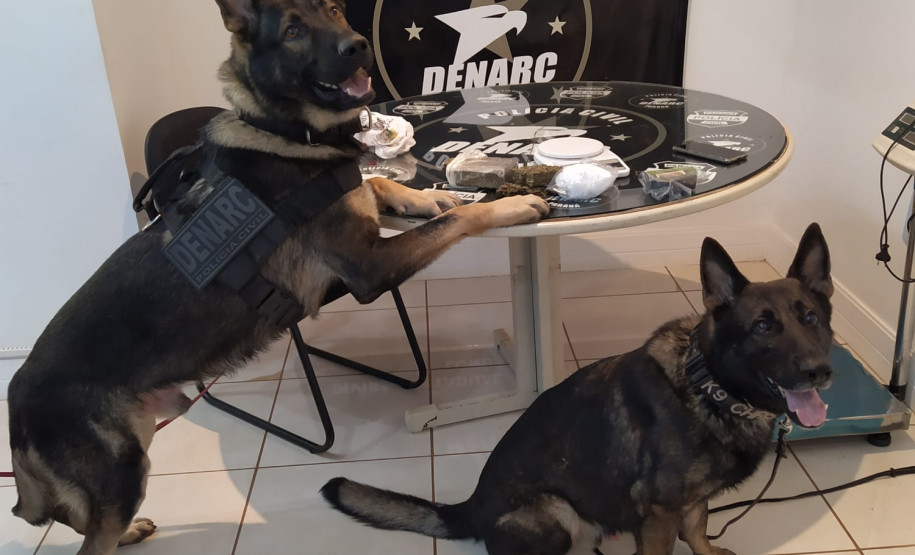 PCPR prende trio por tráfico de drogas em Londrina