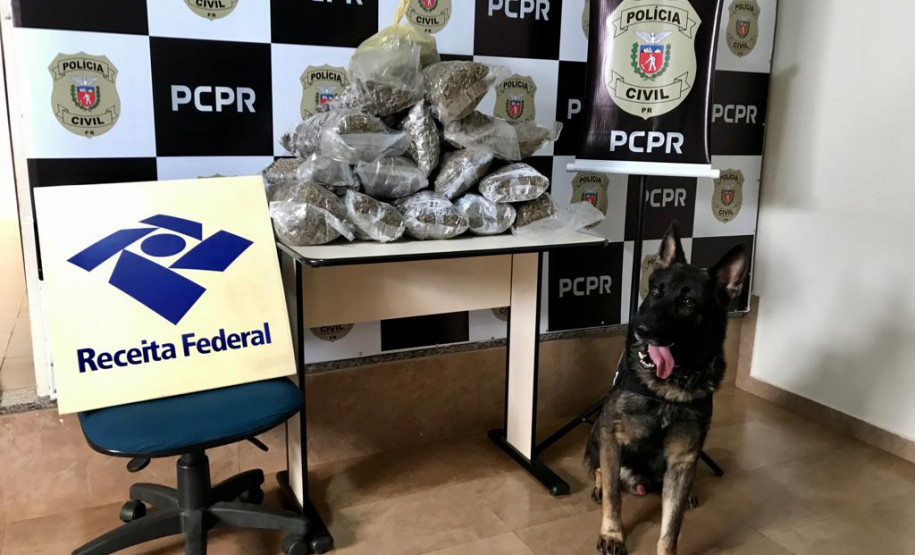 PCPR e Receita Federal apreendem 26,5 quilos de skank em dois estados
