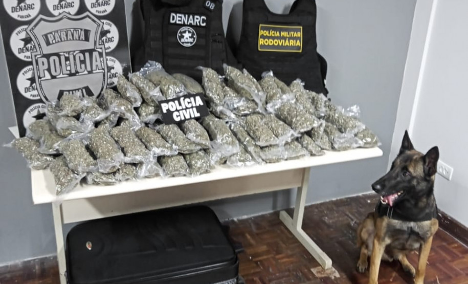 PCPR e PMPR apreendem 15,2 quilos de maconha na Rodoferroviária de Curitiba