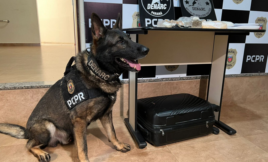 PCPR apreende 1,1 quilo de cocaína e prende um traficante em Maringá