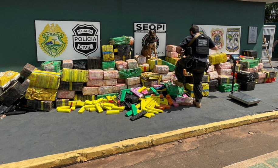 Policial civil e cão policial junto à droga apreendida